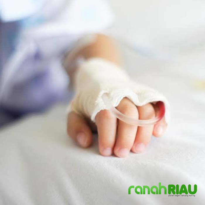 Heboh Pohon tumbang saat Ied di Pemalang, Korban meninggal terus bertambah 